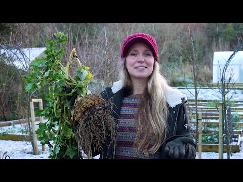 The Garden in January — A Wintery Garden Visit and Garden Jobs for January