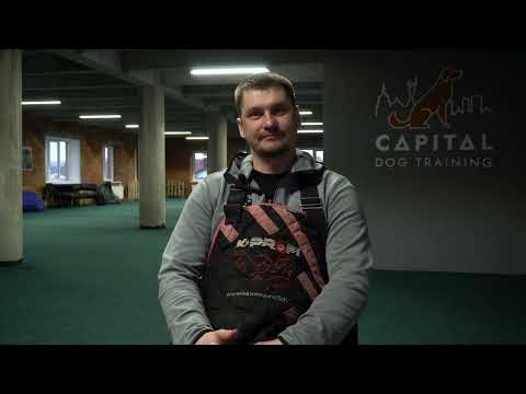 10 питань кінологу фігуранту
