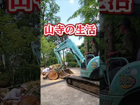 とあるお坊さんの日常 #うきは市#日蓮宗 #お寺 #お坊さん