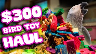 HUGE Bird Toy Restock!
