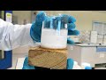 Exploring Exothermic and Endothermic Reactions