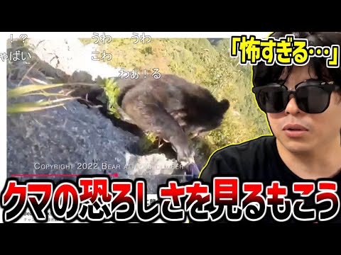 野生のクマに襲われる動画を見てあまりの迫力に恐怖するもこう【2025/10/27】