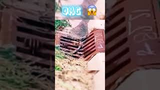 برای ویدیو های ترسناک بیشتر حتماً عضو کانال بشید🔥😈 #scary #short #shorts
