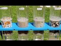 Groundwater Movement and Properties