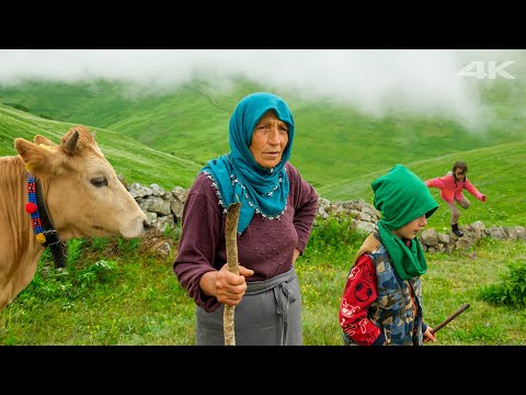 Küçük Misafirlerin Yayla Macerası | Belgesel Film