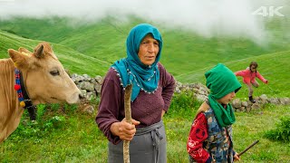 Küçük Misafirlerin Yayla Macerası | Belgesel Film