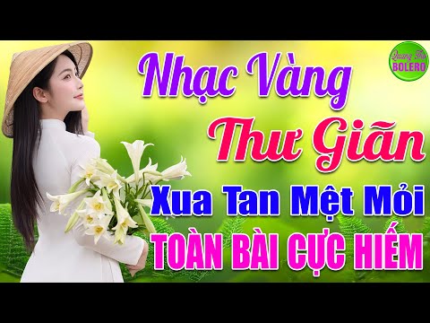 MỘT MAI GIÃ TỪ VŨ KHÍ ➤ CA SỸ MAI TIẾN ĐẠT || GIỌNG CA HAY NHẤT HIỆN NAY