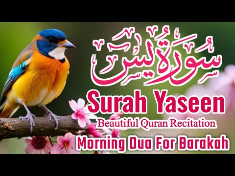 Surah Yasin (Yaseen) || سورہ یس 36 || Surah Yasin Full 7th Time || Morning Dua || Episode-036