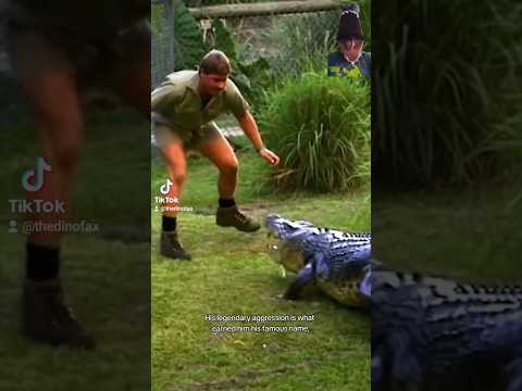 Steve Irwin's Favorite Croc, Agro
