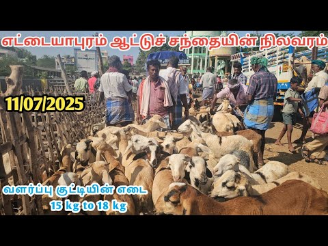 ##தூத்துக்குடி மாவட்டம் எட்டையாபுரம் ஆட்டு சந்தையின் நிலவரம்...