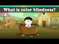 Understanding Color Blindness