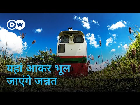 कैरेबियन में ऐसा ट्रेन सफ़र नहीं सोचा होगा! [By Train Through the Carribean] | DW Documentary हिन्दी