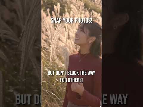 観光客が避けるべき5つの間違い in 神奈川 ~5 TOURIST MISTAKES TO AVOID IN KANAGAWA~