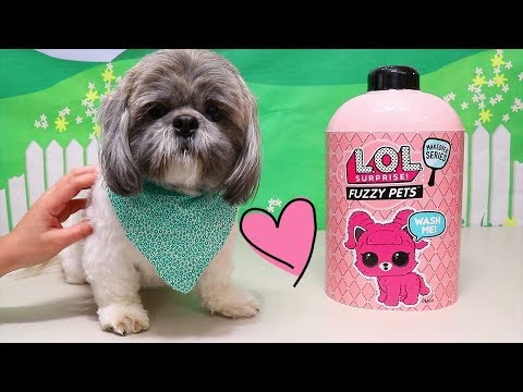 Bonecas LOL Surpresa Abrindo Fuzzy Pets com o Sr Hamilton -Brinquedonovelinhas