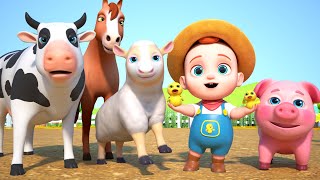Old MacDonald Had A Farm Song! 👩‍🌾🐑🐄🐷 | Gobooboo Nursery Rhymes & Kids Songs