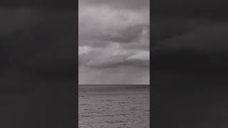 Feel Free #lakemichigan