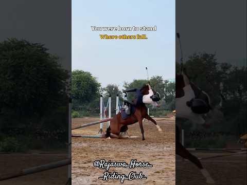 You were born to stand Where others fall. #HorseRideFall #HorseJumping #JumpingSession #BorntoStand