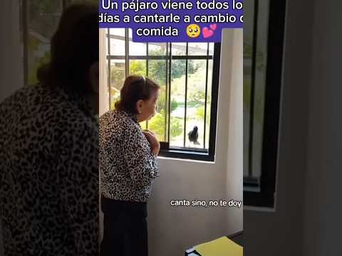 Qué belleza tener que interactuar con las aves #viralvideos