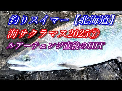海サクラマス2025⑦~ルアーチェンジ直後のHIT~