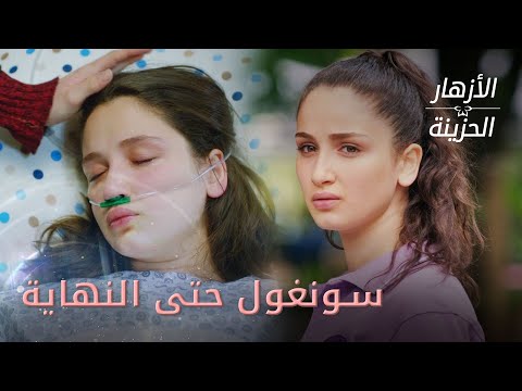 سونغول من البداية حتى النهاية - الأزهار الحزينة