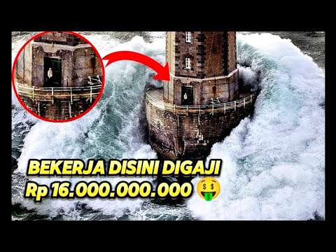 PEKERJA DI MERCUSUAR DI GAJI 16 MILIAR RUPIAH 🤑🤑