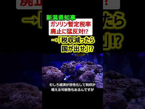 新潟県知事、ガソリン暫定税率廃止に猛反対