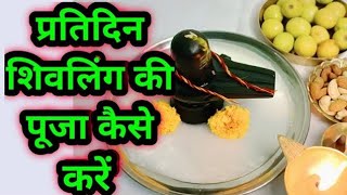 प्रतिदिन शिवलिंग की पूजा कैसे करें 🙏#pradeepmishra #viral