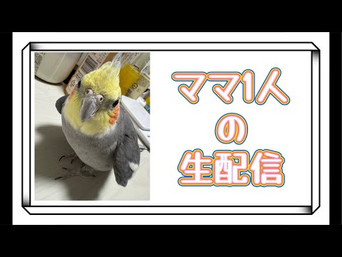 ママが1人で配信してみる🐝