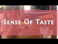 Exploring Taste and Food Concepts