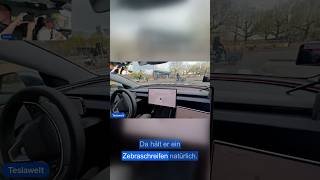 Recht des Stärkeren? Wenn Tesla FSD zuckt, läuft der Fußgänger in die Fahrbahn.