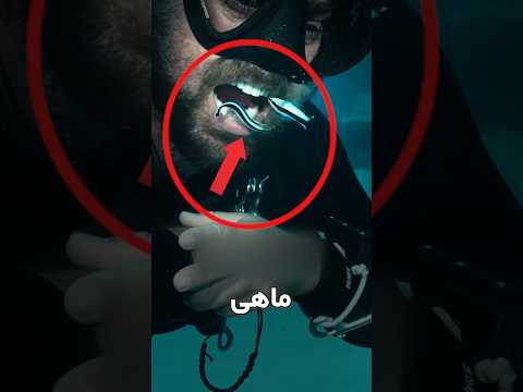 این ماهی دندان پزشک دریاهاست!!