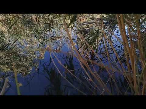 جمال ليوم مختلف عن كل يوم 😍😍😍😍