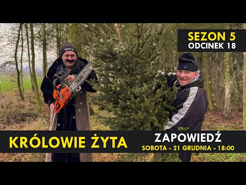 KRÓLOWIE ŻYTA Sezon 5 odc. 18 I Kabaret Malina I ZAPOWIEDŹ