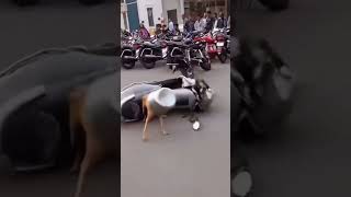 wait and watch!!!!