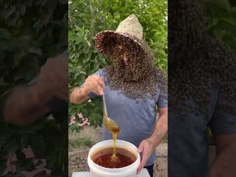 Brave bee girl