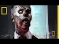 Zombie Outbreak Scenarios and Themes