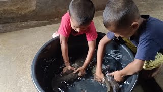 Playing with huge fish🦈🦈😲😲 | huge fish video | catching huge fish