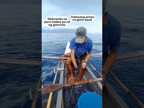 Nakawala na pero inabot parin ng ganchou?? dalawang malaking pusit❤️❤️??