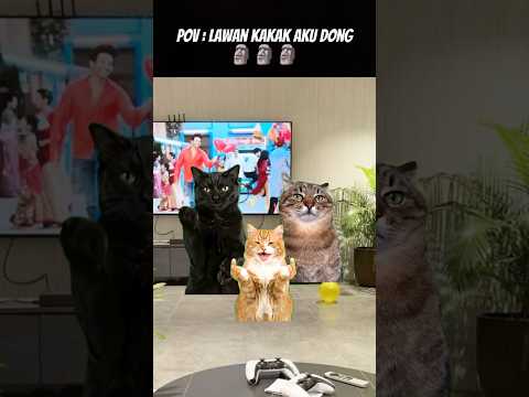 Pov : Spill Nama Kakak Kalian Gaes 😁 #meme #kucing #cat #animation #funny