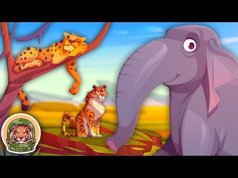 Some Animals That Should Not Be Kept In Captivity! | Animal Songs For Kids | KLT WILD