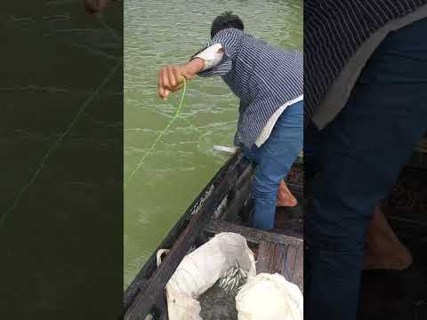#🐟🐟#Narora block bairaj per machhali pakdate hue🐟🐟#