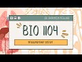 Integumentary System Concepts