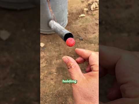 The Candy That Just Wonโt Stay Still! ๐ญ