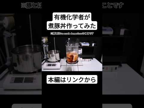 有機化学者が煮豚丼作ってみた #有機化学 #実験 #料理