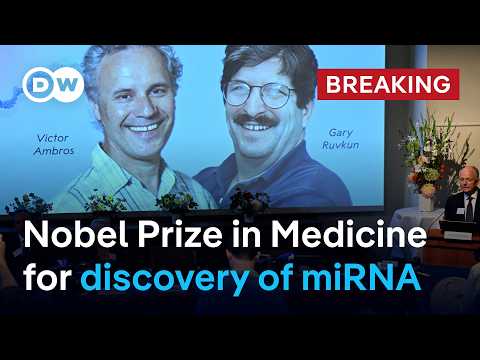 Victor Ambros, Gary Ruvkun win 2024 Medicine Nobel Prize for discovery of microRNA | DW News