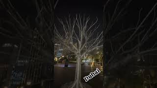 #Dubai | Amazing Tree | Maharishi Aazaad In UAE | Bombay Talkies | Legendary Company |