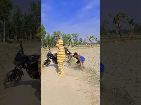The motorcyclist braked quickly