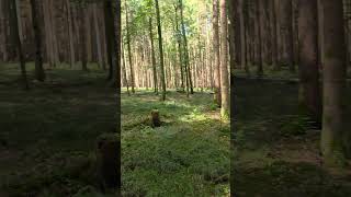 Die letzten Tage des Sommer genießen 🌞 #outdoors #nature