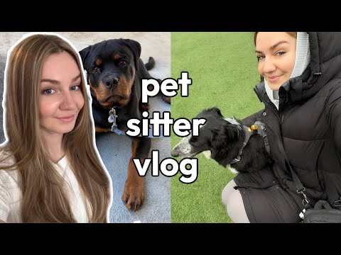 Vlog of a struggling pet sitter in the big city | in my healing era
