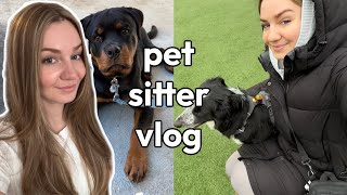Vlog of a struggling pet sitter in the big city | in my healing era